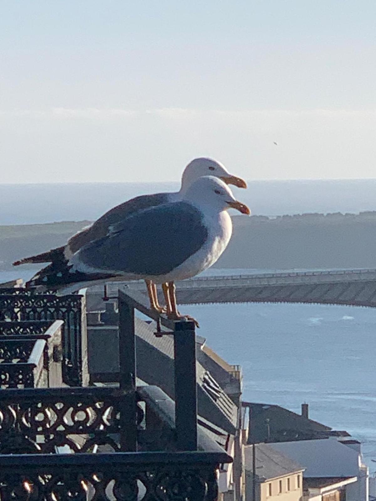 Moderno Piso Con La Mejor Terraza De Ribadeo Y Vistas Maravillosas Eksteriør bilde